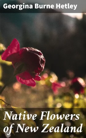 Native Flowers of New Zealand