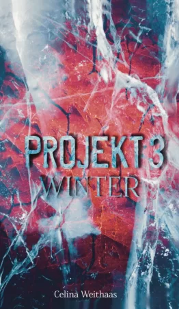 Winter. Projekt III