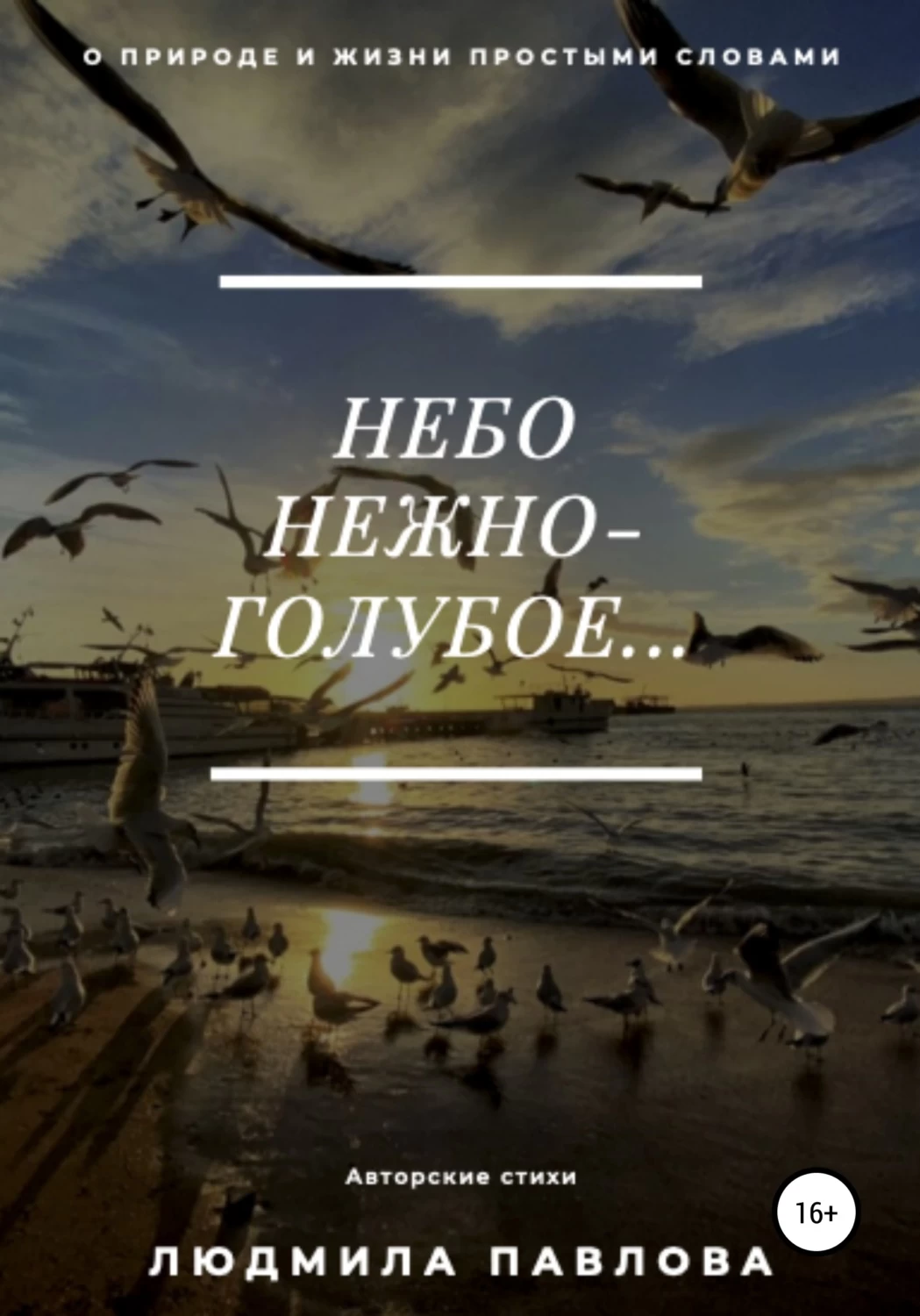 Книги небо читать. Книга небо. Серое небо книга. Книга о небесах. Книга небо моя жизнь.