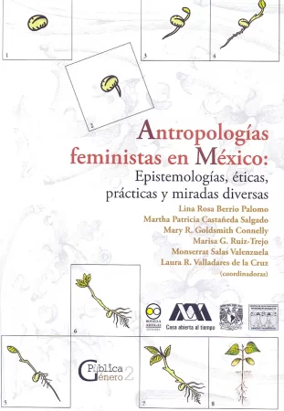 Antropologías feministas en México. Epistemologías, éticas, prácticas y miradas diversas