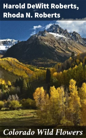 Colorado Wild Flowers