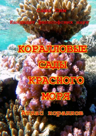 Коралловые сады Красного моря. Атлас кораллов