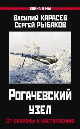 Рогачевский узел. От обороны к наступлению