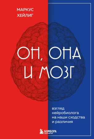 Он, она и мозг. Взгляд нейробиолога на наши сходства и различия