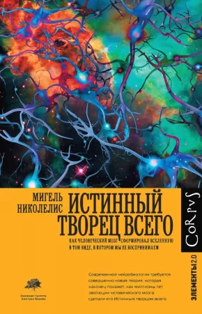 Истинный творец всего. Как человеческий мозг сформировал вселенную в том виде, в котором мы ее воспринимаем